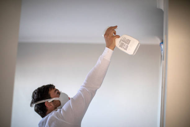 Best Mold Testing  in Bellmore, NY